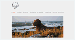 Desktop Screenshot of chesapeake.dk